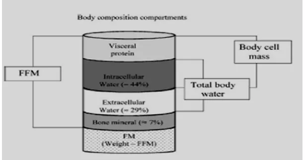 Tabel Nilai rerata kompartemen komposisi tubuh (Thibault dan Pichard, 2012) 
