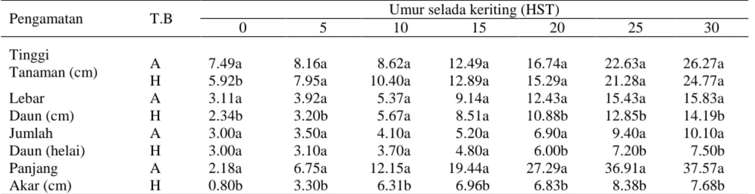 Tabel      2    menunjukkan    nilai      yang  berbeda nyata  antara  panjang akar  selada  keriting  aeroponik  dan  selada  keriting  hidroponik  mulai  dari  0  HST  sampai  30  HST  atau  pada  saat  panen