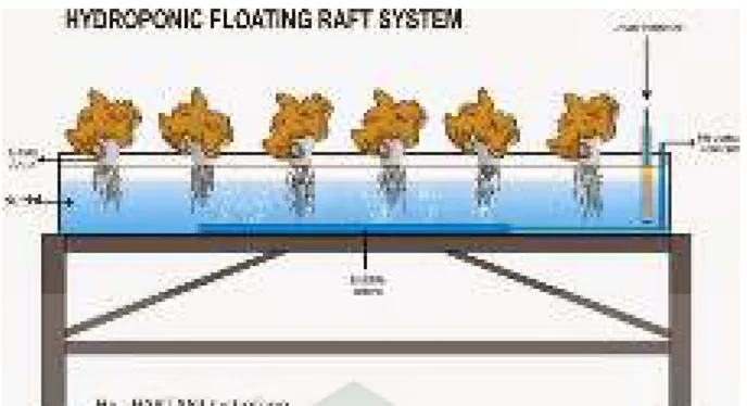 Gambar 2.6. FHS (Floating hydroponic system), (Karsono, 2002). 