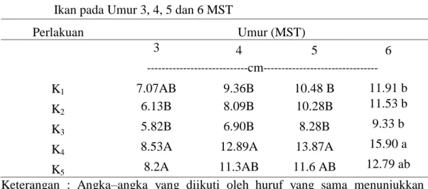 Tabel  2.  Tinggi  Tanaman  Selada  dengan  Perlakuan  Berbagai  Macam  Kotoran  Ikan pada Umur 3, 4, 5 dan 6 MST 