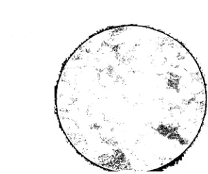 Gambar 2.Bakteri Asam Laktat Lactobacillus plantarum 