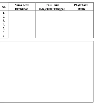 Tabel 1.2  Tabulasi Daun Majemuk dan Phyllotaxis Daun 
