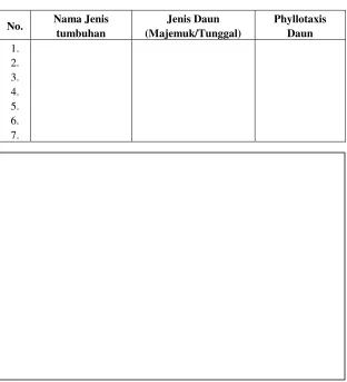 Tabel 1.2  Tabulasi Daun Majemuk dan Phyllotaxis Daun 