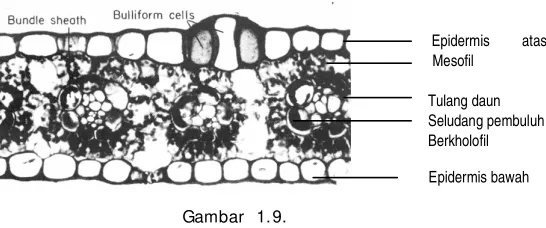 Gambar  1.9.  