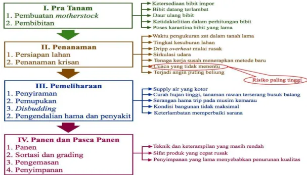 Gambar 1. Alur Proses Produksi dan Sumber Risiko 