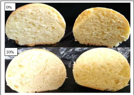 Gambar 14a. Roti prebiotik pada konsentrasi pati aren asetat 0  dan 10%. 