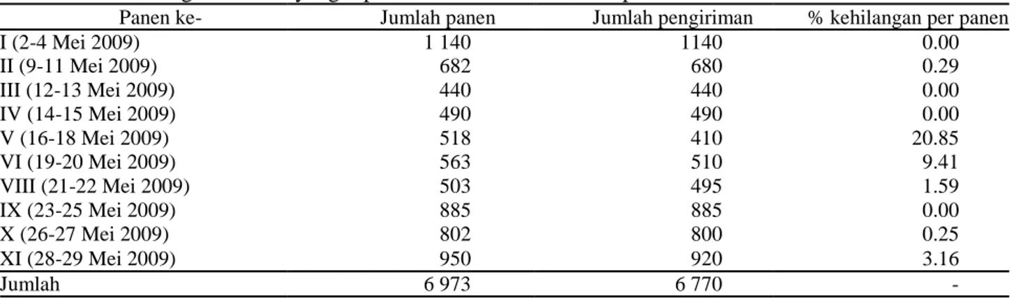 Tabel 4. Jumlah tangkai mawar yang dipanen dan dikirim di kebun pada bulan Mei 2009 