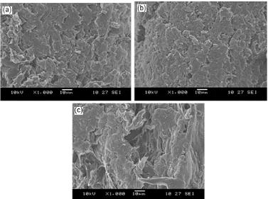 Fig 4. SEM images of fractured surface of (a) regenerated cellulose film with 2 wt% cellulose content, (b)regenerated cellulose film with 4 wt% cellulose content, and (c) chitosan/regenerated cellulose laminate film withcellulose content of 4 wt%
