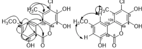 Fig 4. (a) Selected HMBC and (b) NOESY correlationsof 2-chloro-3,4,7-trihydroxy-9-methoxy-1-methyl-6H-benzo[c]chromen-6-one (1)
