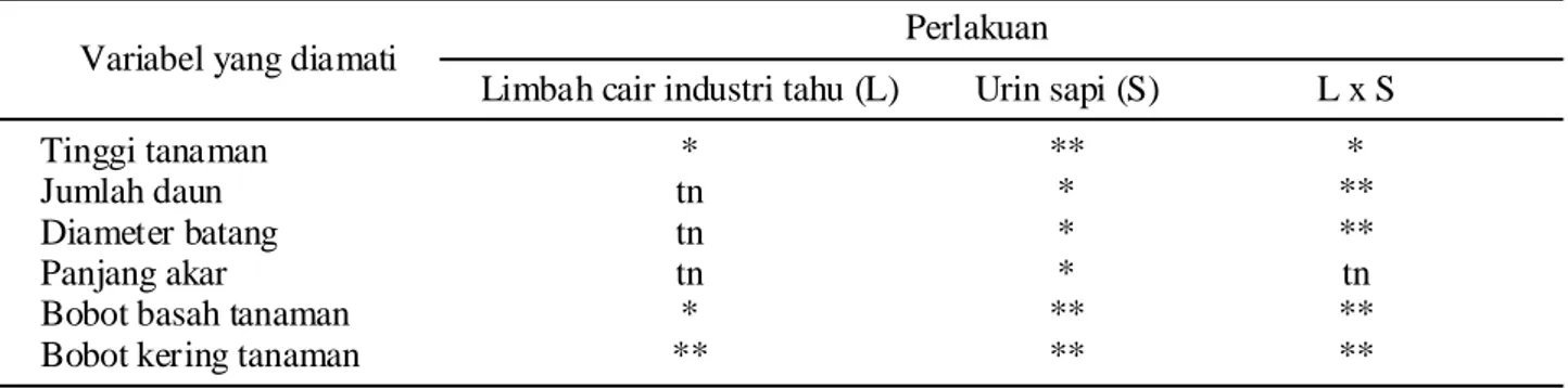 Tabel 2. Rekapitulasi pengaruh urin sapi dan limbah cair industri tahu pada pertumbuhan bibit tanaman kakao