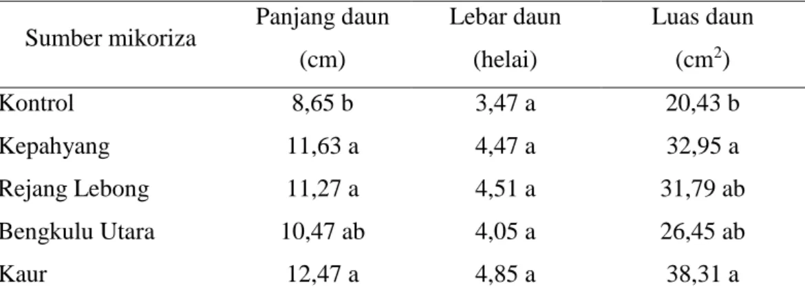 Tabel 3. Rataan panjang daun, lebar daun, dan luas daun bibit kakao dengan aplikasi  mikoriza  dari  sumber  yang  berbeda  terhadap  pertumbuhan  bibit  kakao  di  tanah Ultisol 