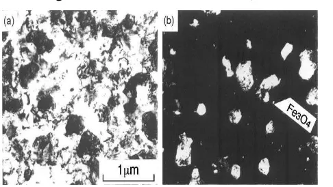 Gambar 1. Citra TEM dari material bulk besi dengan ukuran butir 0,2 µm (a) citra 