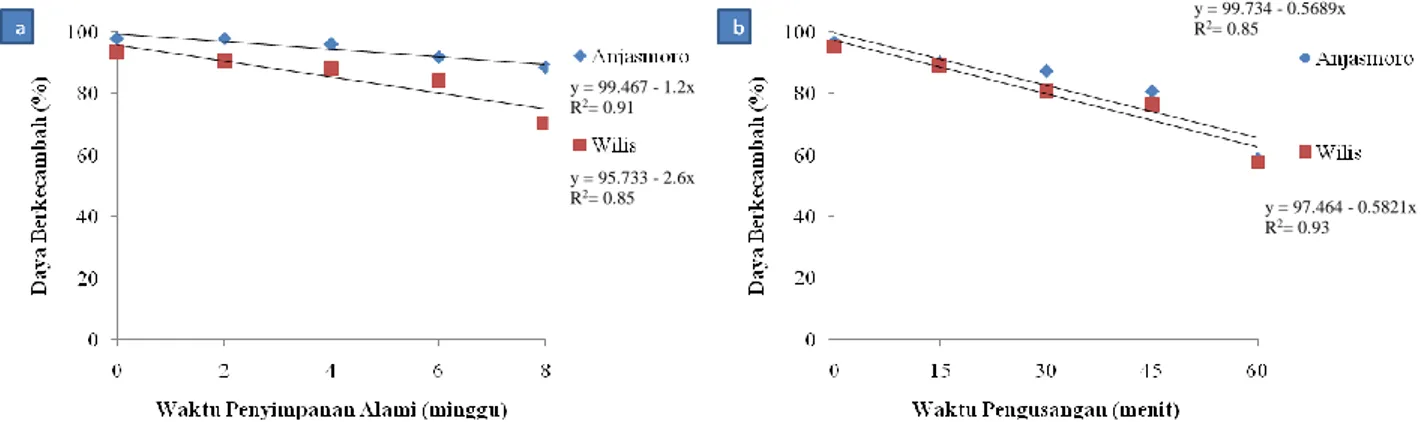 Gambar  2.  Hubungan  antara  waktu  penyimpanan  alami  dengan  daya  berkecambah  (a)  dan  waktu  pengusangan dengan daya berkecambah (b) pada benih kedelai varietas Anjasmoro dan Wilis 