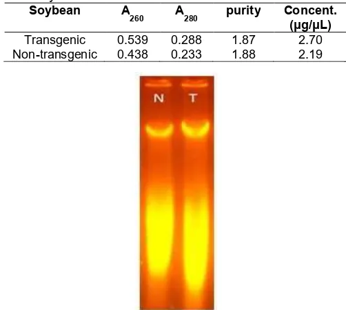 Table 1. UV-Vis spectroscopy data of isolated DNAfrom soybeans