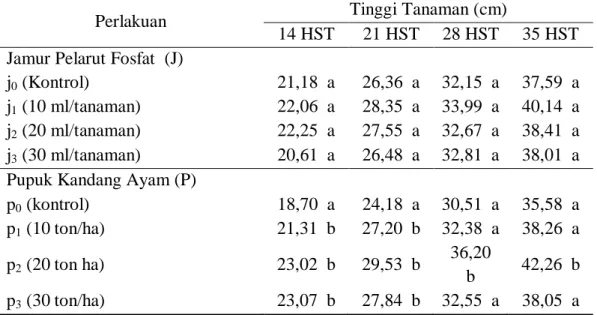 Tabel 3. Rata-rata Tinggi Tanaman (cm) 