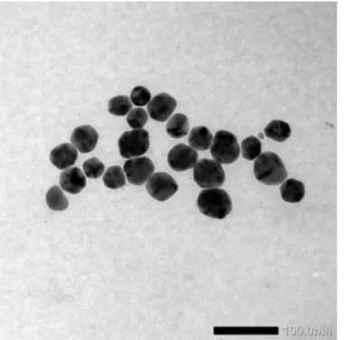 Fig 1. TEM image of AgNPs produced by reduction of AgNO3 with ascorbic acid in PVA solution 