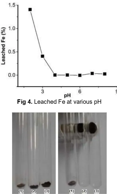 Fig 4. Leached Fe at various pH