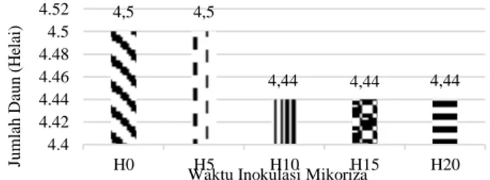 Gambar  1.  Grafik  Tinggi  Tanaman  Nicotiana  tabacum  var.  Somporis  dengan variasi waktu inokulasi mikoriza