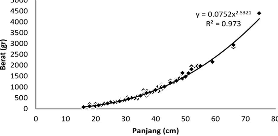 Gambar 3. Hubungan panjang-berat ikan kakap merah (Lutjanus malabaricus). Figure 3.    Fish length-weight relationship red snapper (Lutjanus malabaricus).