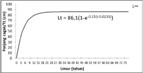 Gambar 5. Kurva pertumbuhan Von Bertalanffy ikan kakap merah. Figure 5.    The growth rate curve von Bertalanffy of red snapper