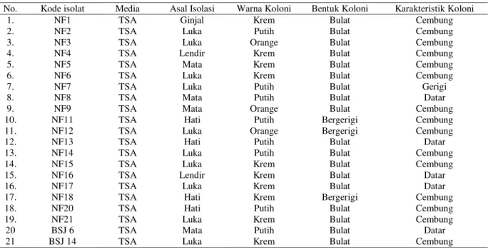 Tabel 1. Karakter Isolat berdasarkan Warna, Bentuk, serta Karakteristik Koloni 