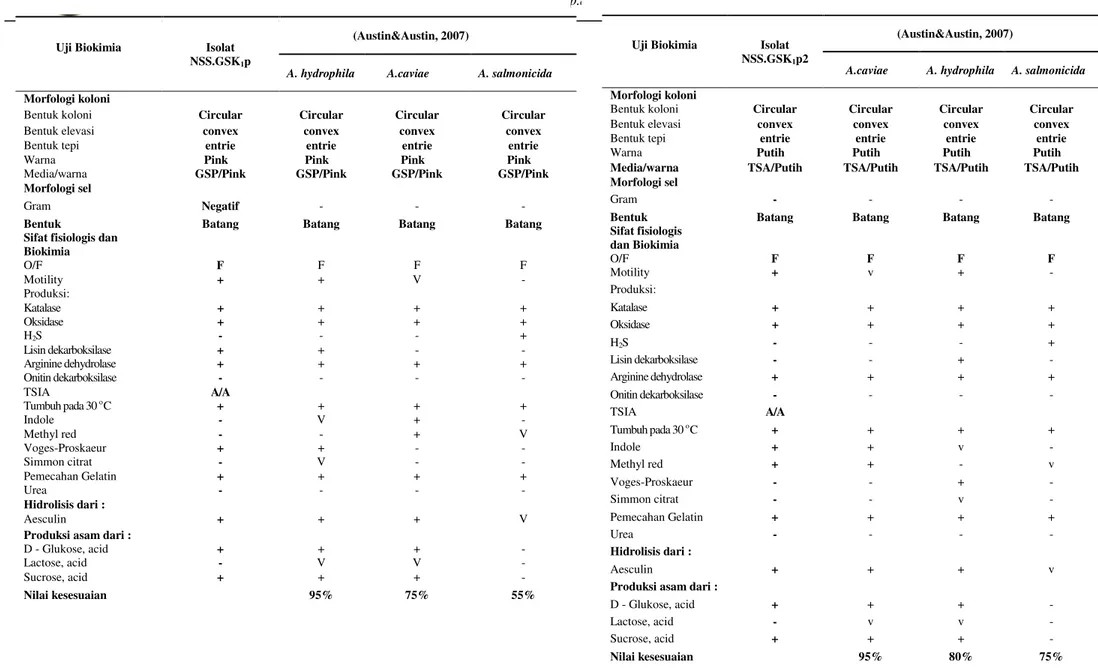 Tabel 4. Hasil uji Biokimia isolat NSS.GSK 1 p sebagai agensia penyebab pada ikan gurami (O