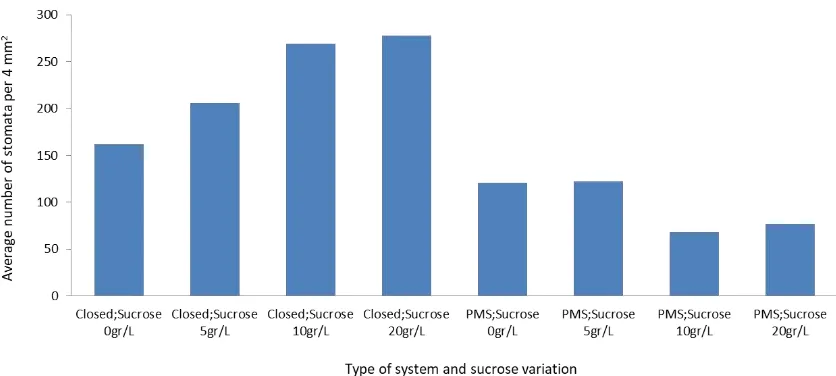Figure 4. Comparison of the number of stomata per 4 mm2 area in G. scriptum abaxial plantlets leaves within a closedsystem and PMS, with sucrose variations in VW mediums (for 8 weeks).