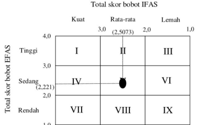 Gambar 4.2 Matriks Internal-Eksternal Dusun  Banyumurup 