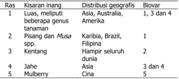 Tabel 1 Klasifikasi  R. solanacearum  berdasarkan ras  dan biovar 