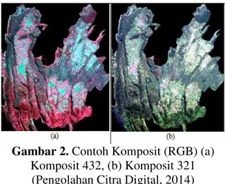 Gambar 2. Contoh Komposit (RGB) (a)  Komposit 432, (b) Komposit 321 