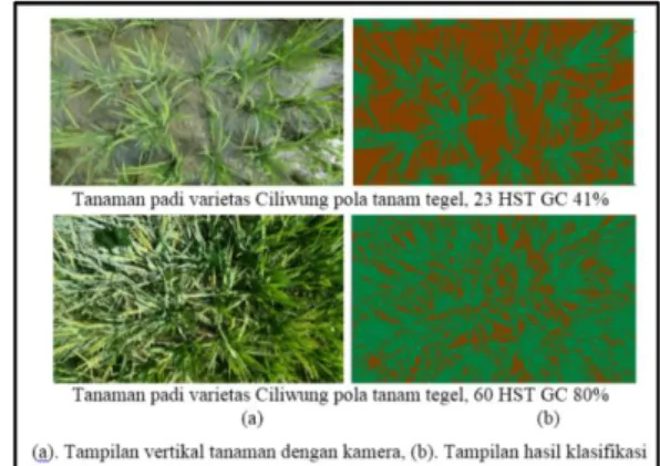 Gambar 3. Reflektansi tanaman padi  Nilai  reflektansi  tanaman  padi  pada  kanal green dan NIR cenderung tinggi pada  umur  52,  60  dan  67  HST  yang  menunjukkan dominasi tanaman pada lahan  tempat  penanaman  (dapat  dilihat  pada  Gambar  4)
