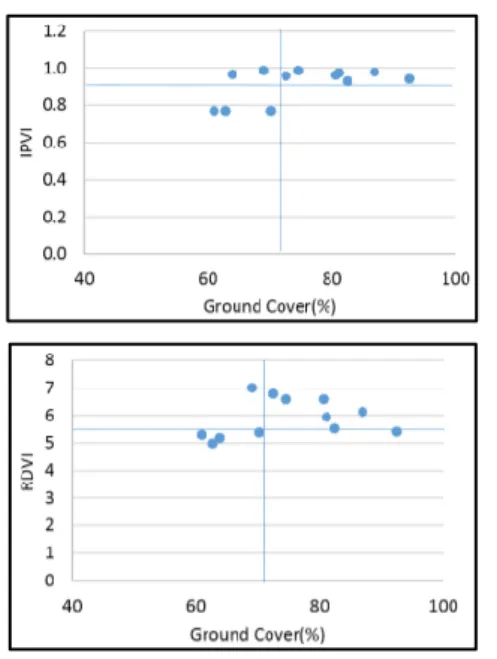 Gambar 14. Hubungan Ground Cover (%)  dengan indeks vegetasi pada pola tanam 