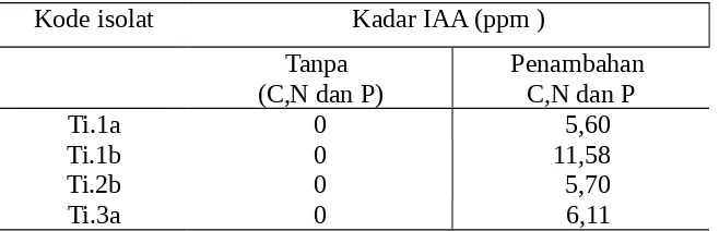Tabel 6.  Kadar IAA yang dihasilkan oleh isolat rhizobakteria pada media cair  ekstrak tanah dengan atau tanpa penambahan sumber C, N, dan P.