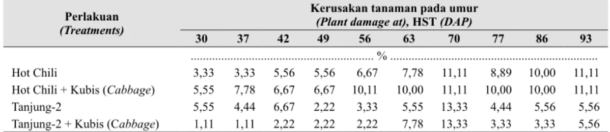 Tabel 4.   Kerusakan tanaman cabai merah akibat serangan OPT (Plant damage on hot pepper 