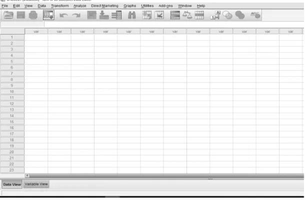 Gambar 5.2 Memasukkan Data ke dalam SPSS