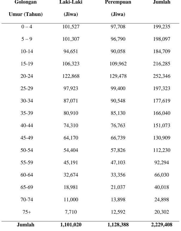 Tabel 4. Jumlah Penduduk Menurut Kelompok Umur dan Jenis Kelamin di  Kota Medan, Tahun 2016 