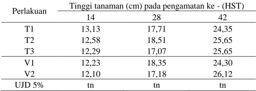Tabel 1. Rata-rata tinggi tanaman (cm) akibat perlakuan tinggi bedengan dan  berbagai varietas bawang merah pada berbagai umur pengamatan