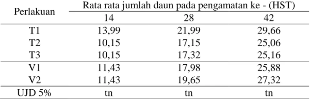 Tabel  2.  Rata-rata  jumlah  daun  bawang  merah  akibat  perlakuan  tinggi  bedengan  dan  dua varietas bawang merah pada berbagai umur pengamatan
