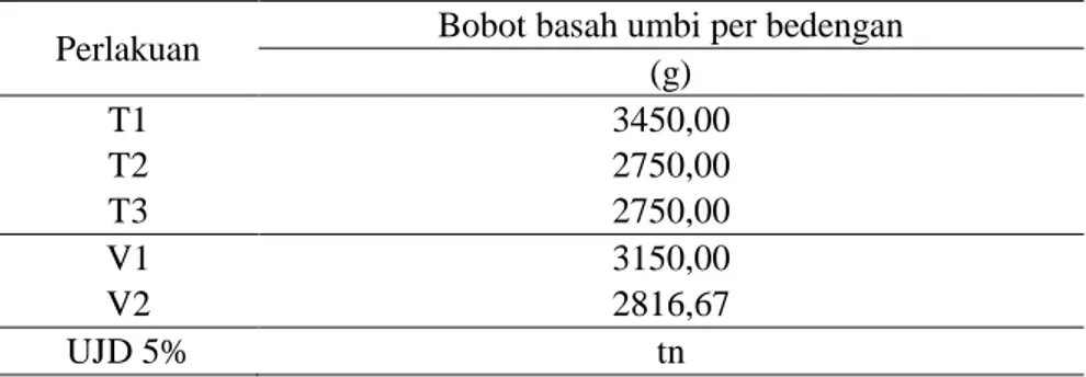 Tabel 4. Rata-rata bobot basah (g) umbi bawang merah per bedengan (umur 42 HST) 