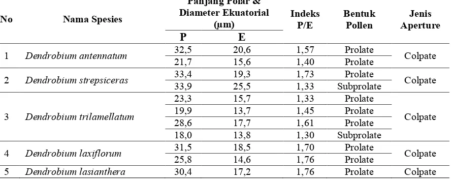 Tabel 1. Panjang polar, panjang ekuatorial, indeks p/e, bentuk pollen dan jenis aperture pada genus Dendrobium 