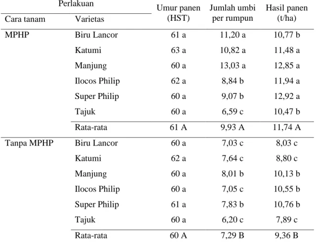 Tabel 2.  Rata-rata umur panen, jumlah umbi dan hasil tanaman bawang merah, pada lahan  kering dataran rendah
