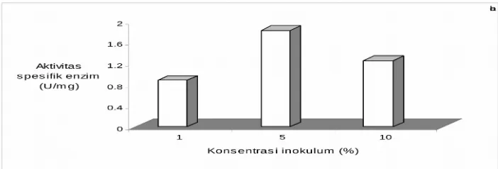 Gambar 7. Histogram pengaruh konsentrasi inokulum terhadap aktivitas keratinase