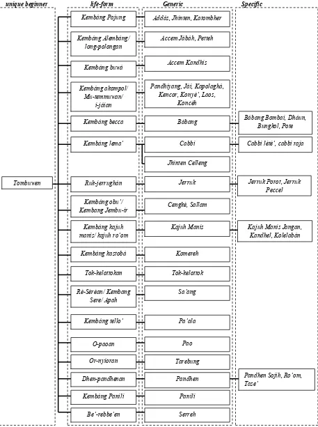 Gambar 2. Folk taxonomy Tumbuhan Bumbu dan Rempah Daerah Guluk-Guluk Sumenep berdasarkan 