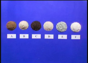 Gambar 2  Bahan organik yang digunakan dalam penelitian terdiri dari tepung tulang ayam (A), tepung tulang sapi (B), kascing (C), kulit telur ayam (D), zeolit (E), kaolin (F) 