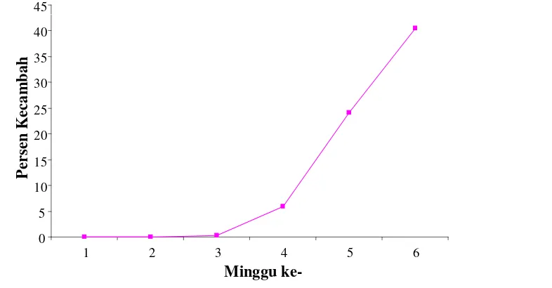 Gambar 5  Grafik persen kecambah kumulatif benih jati (Tectona grandis L. f.) 