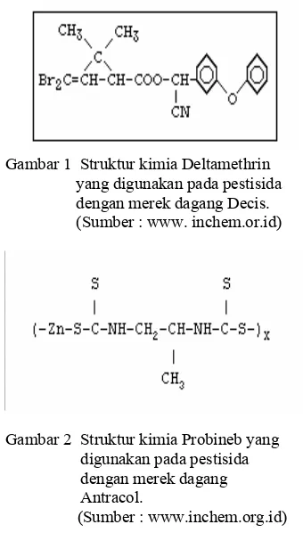 Gambar 2  Struktur kimia Probineb yang                    digunakan pada pestisida                    dengan merek dagang                    Antracol