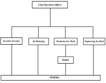 Gambar 2.1. Struktur Organisasi UD. Putri Juna 