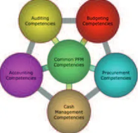Figure 1. Philippine Public Financial Management Competency Model