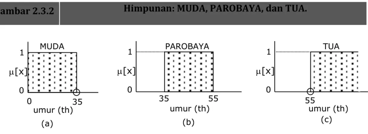 Gambar 2.3.2      Himpunan: MUDA, PAROBAYA, dan TUA. 
