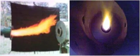 Gambar 15. Bentuk Api dengan Conical Flame Stabilizer di Luar dan Dalam Ruang Bakar  